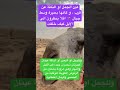 عين الجمل او الناقة عن قرب و كأنها بحيرة وسط جبال اكتب سبحان الله في التعليقات او الكومنتات