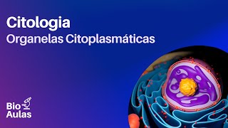 Citoplasma e Organelas Citoplasmáticas - Citologia/Biologia Celular (Bio Aulas)