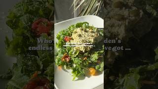 Endless salads at home #easynutrition #homegarden #saladlover #herbgarden #indoorgarden #homegrown