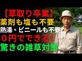 【草取り卒業】薬剤・塩・熱湯・ビニール不要！０円でできる驚きの簡単雑草対策 | 除草剤 | グリーン農 | 芝生 | 雑草対策