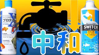 【中和剤】使い分ける事で、魚が突然死しなくなる組み合わせ。どのタイミングで何のメーカーの中和剤を使えば良いのか経験を元に解説してみた！キョーリン プロテクトX、リーフ スイッチ【ふぶきテトラ】