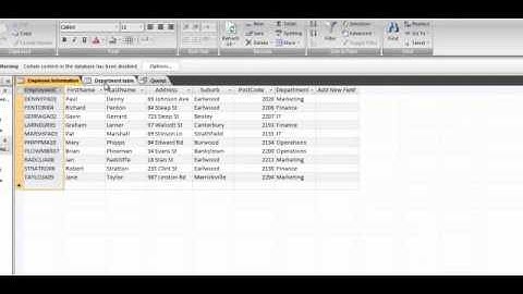 Tutorial on: Data Dictionary, Schema, Primary and Foreign Keys, Data Validation