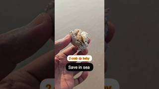 2 beby crab 🦀 save in sea #fishrescue #aquaticlife #beach #saveanimals #crab #ytshorts