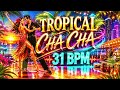 🌴🔥 TROPICAL CHA CHA BALLROOM PRACTICE • 31 BPM 🔥🌴— 4 Tropical Ballroom Practice Tracks
