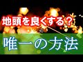 親が子供の地頭を良くすることはできるのか！？できなくても大丈夫な唯一の方法とは