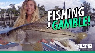 Fishing a Gamble: Lucky Tackle Box Tips