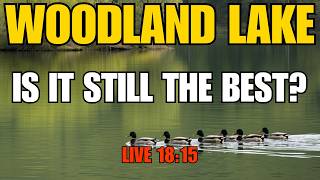 Woodland Lake First Hunt After New Patch – Is It Still THE BEST?! LIVE 18:15 CET