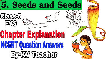 (Page 42-46) Seeds And Seeds / Class-5 EVS Ncert Chapter 5 Explanation Question Answers / KV Teacher