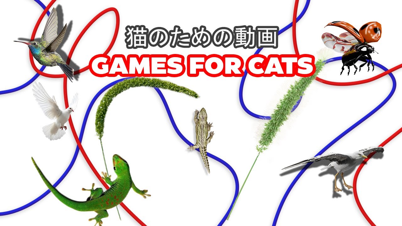 Cat Game 🐁 Mice in Action! The Ultimate 4K Cat TV Experience - YouTube