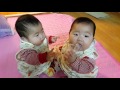 [쌍둥이육아] 일란성 쌍둥이 치즈 먹방 귀여워 #일란성 #쌍둥이 #육아 #치즈 #먹방 #twins #baby #cheese #eating #mukbang #cute