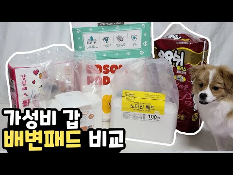 강아지 배변패드 성능이 좋은 건 어떤걸까?