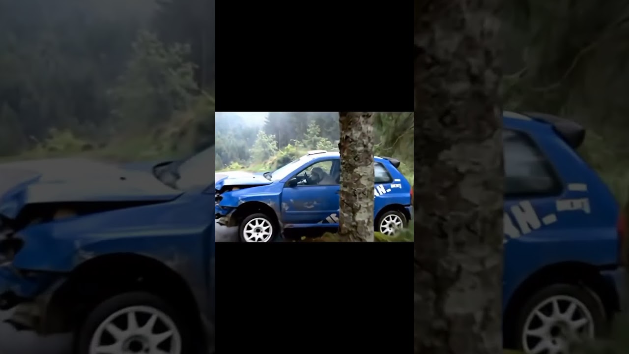 AI Rally Car Crash Turns Hilarious When a Dog Gives the Middle Finger! 😂🚗🌳🐕