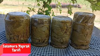 Salamura Yaprak Nasil Yapilir - Asma Yapraği Nasil Basilir