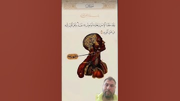 #قران_كريم للشيخ إسلام صبحي من سوره (ق) #اكسبلور #تصويري #المصحف # #اللهم_صل_وسلم_على_نبينا_محمد