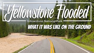 Yellowstone Closed due to Flood: First hand account from inside the park