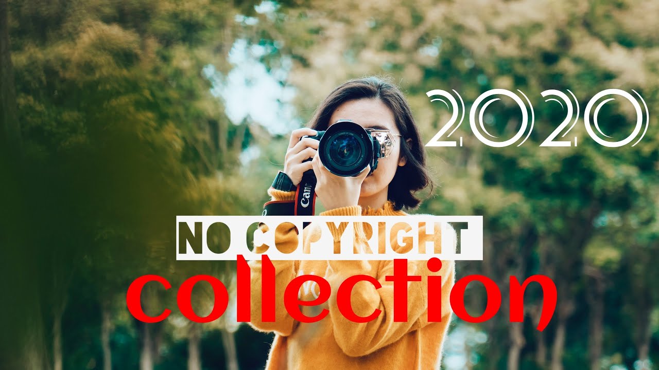 BestFriends_by_RexBanner_Artist (no copyright musicvlog collection)