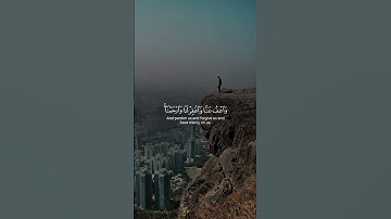 اواخر سورة البقرة أحمد العجمي