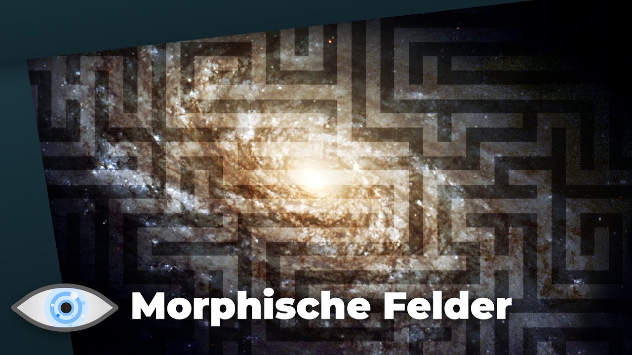 Einführung in die Morphischen Felder nach Rupert Sheldrake – Götz Wittneben