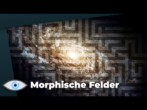 Video: Die Theorie Der Morphogenetischen Felder - Alternative Ansicht