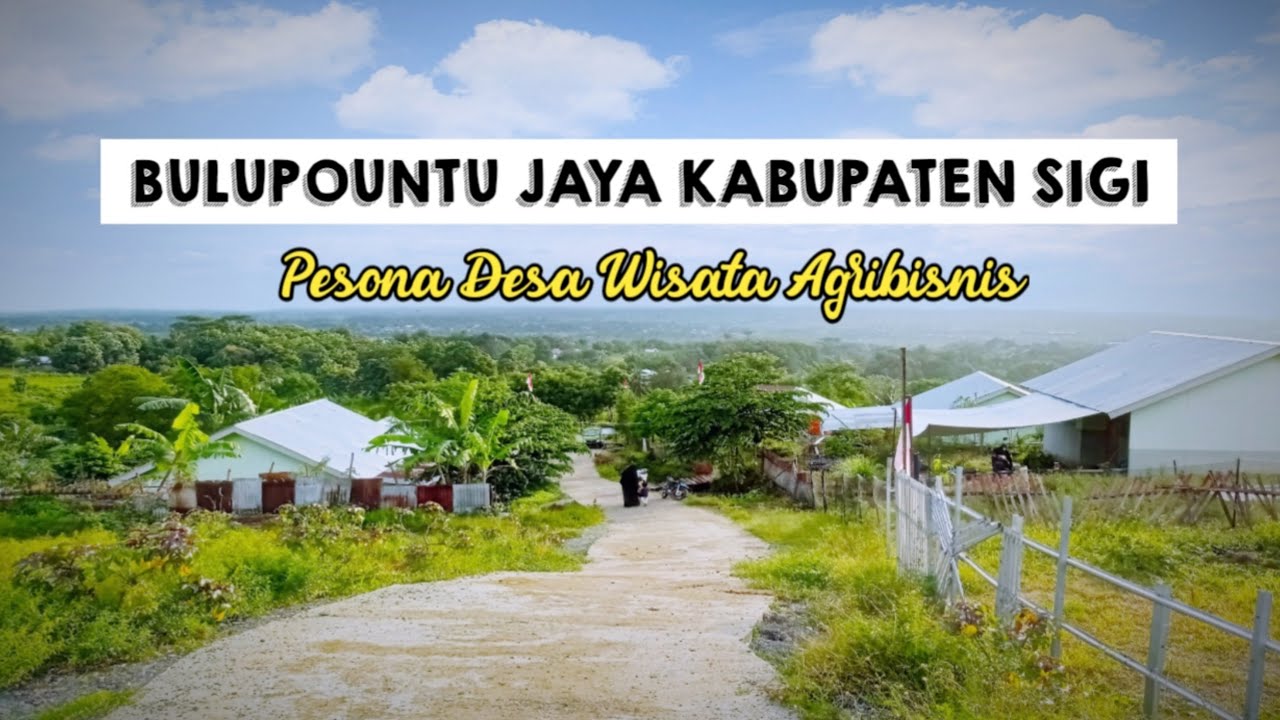 PESONA DESA WISATA AGRIBISNIS - DESA BULUPOUNTU JAYA KABUPATEN SIGI