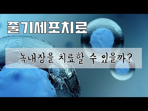 줄기세포치료- 녹내장은 극복될 수 있을 것인가?