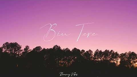 Bin Tere | I Hate Luv Storys | Sunidhi Chauhan, Shafqat Amanat Ali, Vishal–Shekhar | [Slowed+Reverb]
