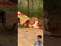#indian #youtubeshorts #chhotaalivlogs