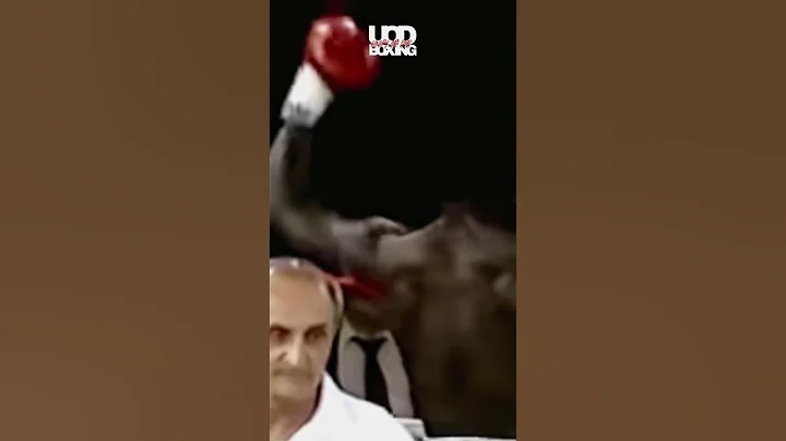John Meekins vs Mohammed Kawoya controversial TKO ...