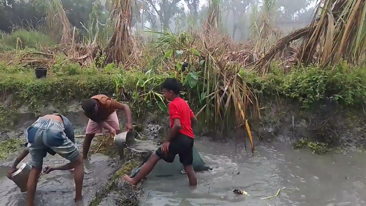 গ্রামীণ শৈশব। 