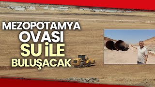 Mezopotamya Ovası 2022’de Su İle Buluşacak