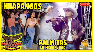 Halcon Huasteco en Las Palmitas La Mision Hidalgo 2022