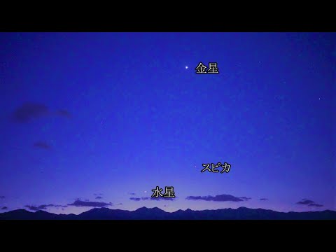 明け方の空に水星が見えています（SONYα7SⅢリアルタイム動画）