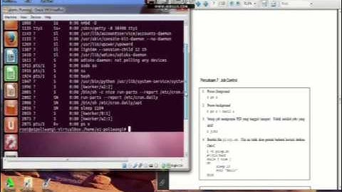 Praktikum 5b bekerja dengan bash shell