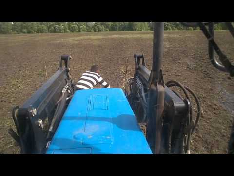 Как посеять многолетние травы без сеялки