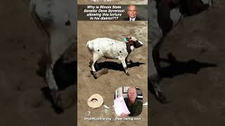 Illinois Senator Syverson Needs to Support SB45!