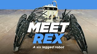 Final Year Thesis - Ground Robot (Hexapod) Demo