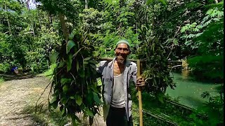 Desa Indah dan Sejuk Sawal Lamuk Kaliwiro Wonosobo Jawa Tengah Indonesia
