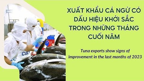 VASEP Highlight - T11/2023: Xuất khẩu cá ngừ có dấu hiệu khởi sắc trong những tháng cuối năm