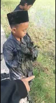 Anak kecil lucu naik sepeda sampai jatuh ke sawah😂😂