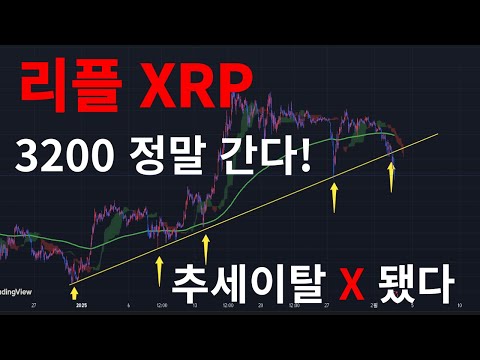 리플 XRP 4천원 올인!! 묻지마 올인!! 싹다사라  퀀텀코인 퀀텀 알파쿼크 솔라나 도지코인 대박코인고래