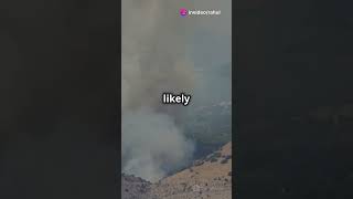 Largest Outbreak Of Oropouche Virus In Brazilian Amazon