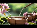 Beautiful Relaxing Music 🎹 Water Sound and Sleep Music, Stress Relief, Meditation Music, Spa &amp; Yoga