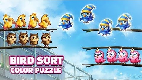 bird color sort unity source code - unity project - unity game