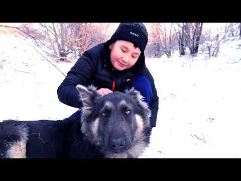 СОБАКА ДРУГ ЧЕЛОВЕКА!!!