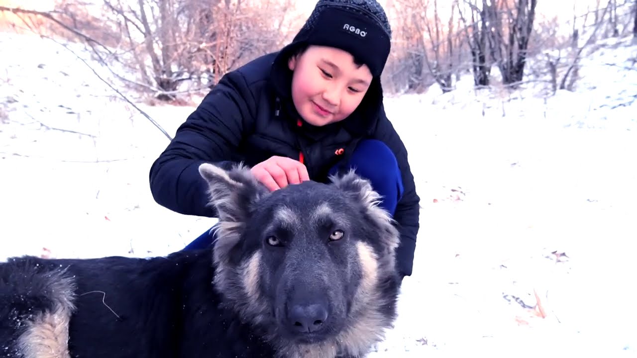 СОБАКА ДРУГ ЧЕЛОВЕКА!!! - YouTube