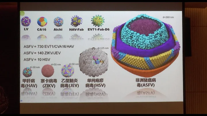 Chinese Scientists Succeed in Unlocking Clues to Fight African Swine Fever