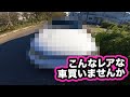 こんなレアな車買いませんか⁉️