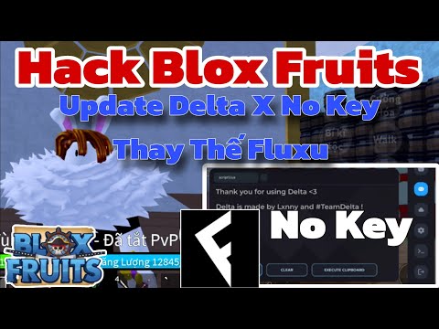 Hướng Dẫn Hack Blox Fruits 21 Trên Điện Thoại 