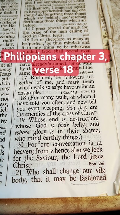 philippians-chapter-3-verse-18-youtube