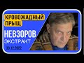 🧨 Самые сочные новсотисамого рейтингового TG канала  “Невзоров”